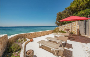 Beach Front Apartment In Petrcane With Kitchen